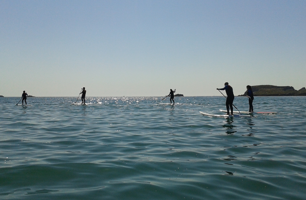 Stand up paddle